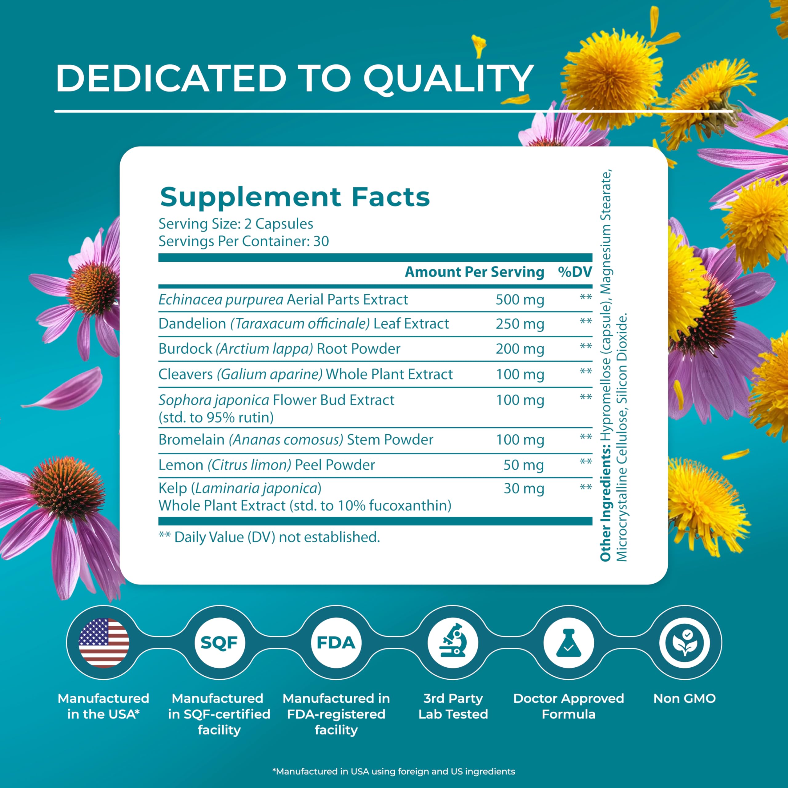 PUREHEALTH RESEARCH Lymph System Support - Lymphatic Drainage Supplement for Women & Men - Bromelain, Echinacea, Dandelion, Burdock Root, Lemon Powder, Kelp, Cleavers & More - 60 Capsules