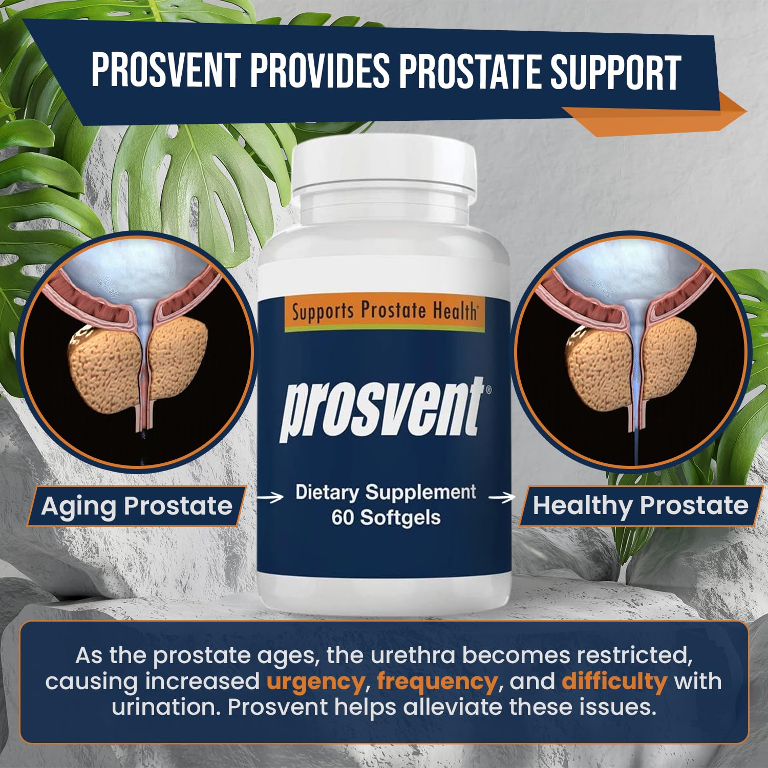 Prosvent Advanced Men's Prostate Support – Natural Formula for Urinary Health & Wellness