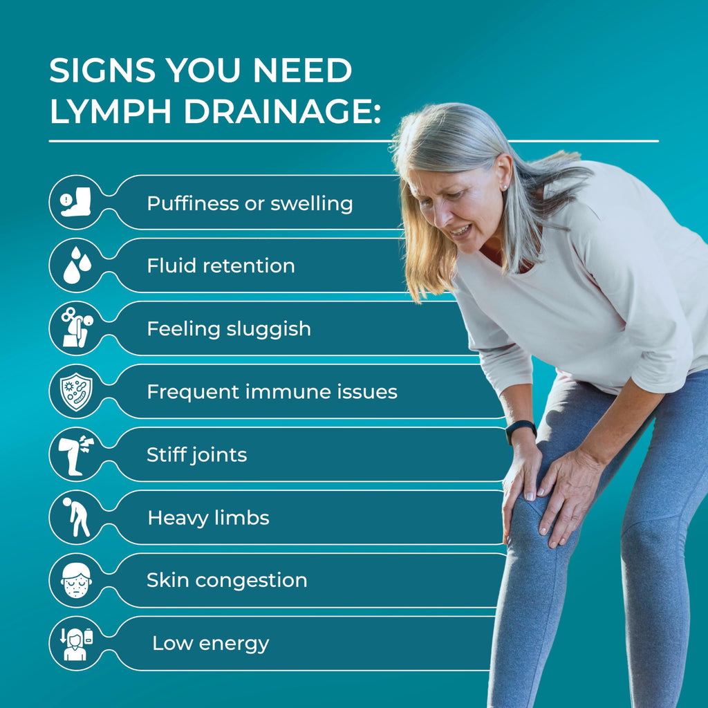 PUREHEALTH RESEARCH Lymph System Support - Lymphatic Drainage Supplement for Women & Men - Bromelain, Echinacea, Dandelion, Burdock Root, Lemon Powder, Kelp, Cleavers & More - 60 Capsules