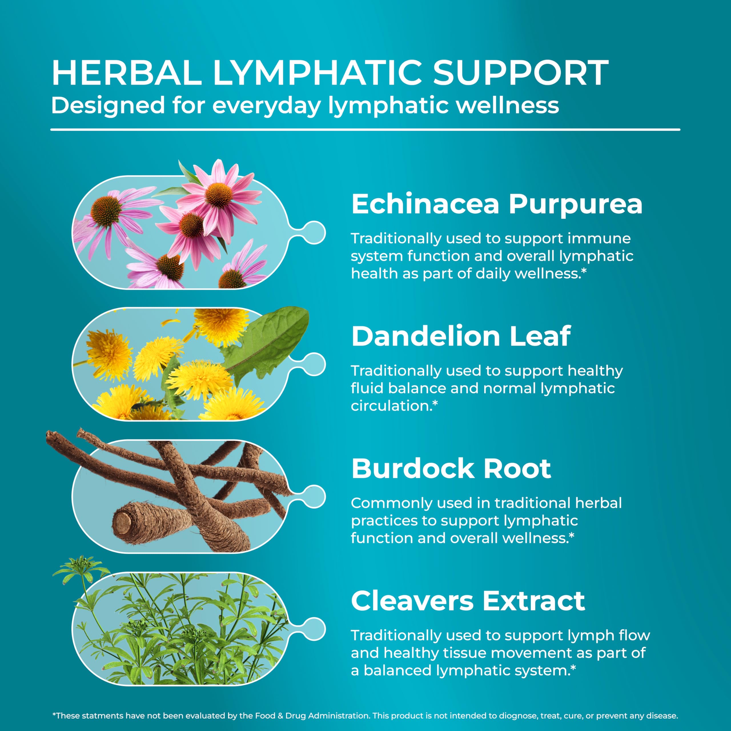 PUREHEALTH RESEARCH Lymph System Support - Lymphatic Drainage Supplement for Women & Men - Bromelain, Echinacea, Dandelion, Burdock Root, Lemon Powder, Kelp, Cleavers & More - 60 Capsules