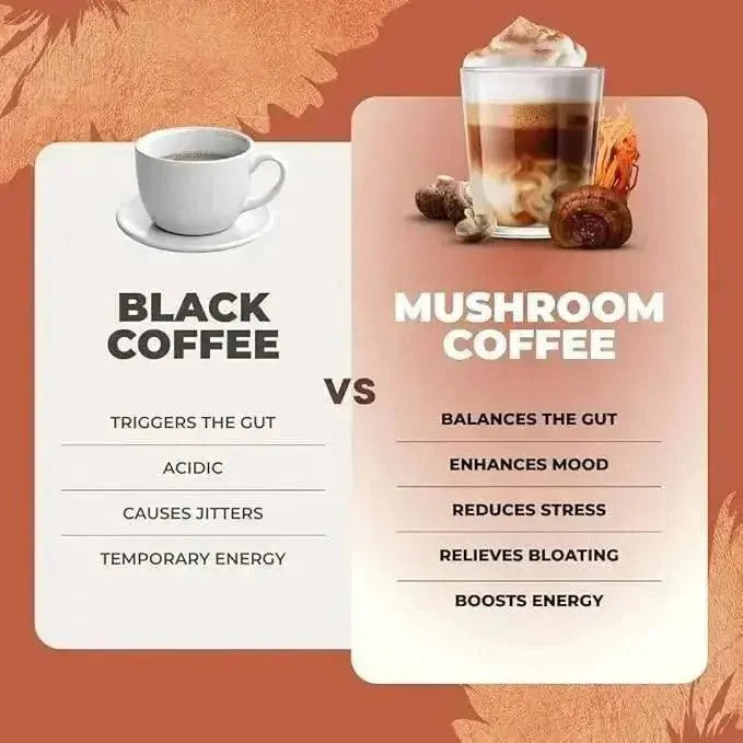 RYZE SUPERFOODS Mushroom Medium Roast Coffee Starter Kit, USDA Organic Instant Coffee with 6 Adaptogenic Mushrooms and for Energy, Focus, Digestion, Immunity with Lions Mane & Turkey Tail 30 Serving